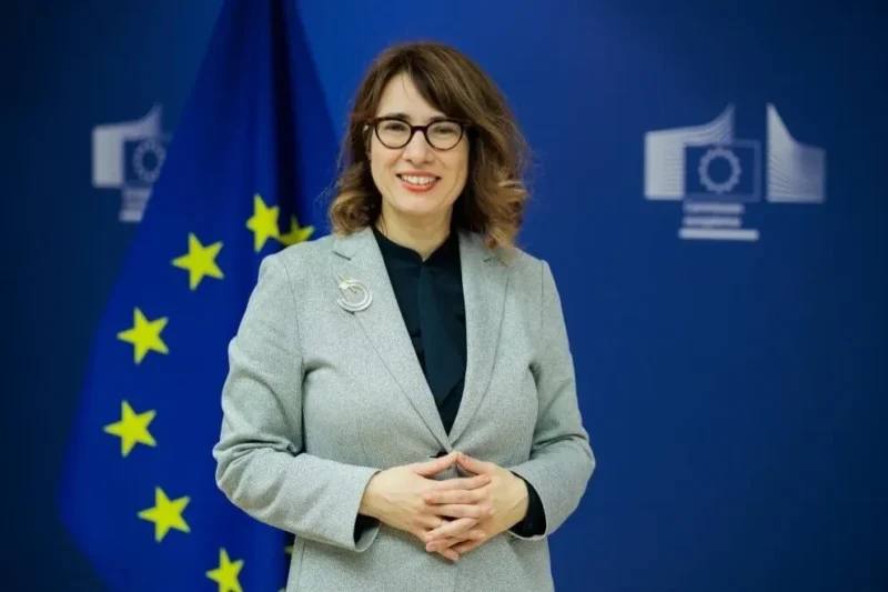 Высокий представитель ЕС Анита Хиппер во время выступления в Армении