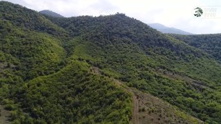 Армейские игры стартуют в Армении 2 августа: соревнования силовых структур в Алаверди