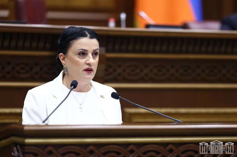 Ирина Йолян не избрана председателем комиссии НС по территориальному управлению в Алаверди