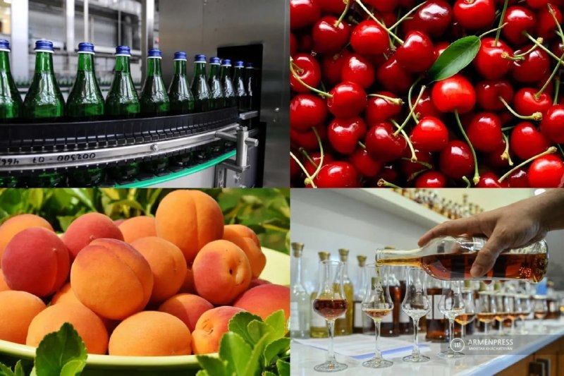 Возобновление импорта сельхозпродукции из Армении в Россию: условия Минсельхоза РФ и возможные последствия для Алаверди