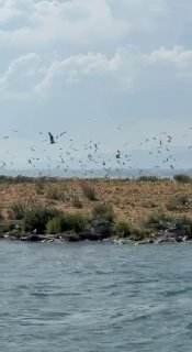 Фото острова чаек на озере Севан, опубликованное Николом Пашиняном
