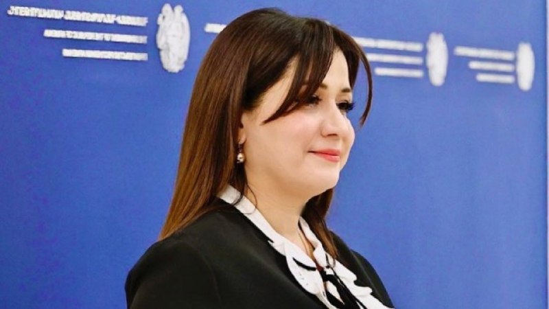 Назели Багдасарян на посту пресс-секретаря премьер-министра Армении
