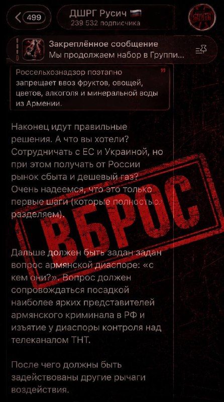 Неонацистское боевое подразделение «ДШРГ Русич» призывает к давлению на армянскую диаспору, что вызывает обеспокоенность в