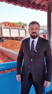 Закупка томатов в Армении: в Алаверди ожидают стабильные цены на урожай
