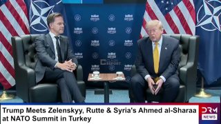 Трамп приостанавливает торговлю с Испанией: реакция Мадрида и возможные последствия для Алаверди