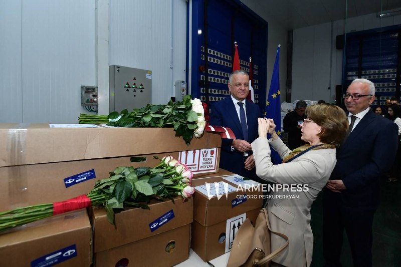 Розы различных сортов, экспортированные из Армении в Латвию