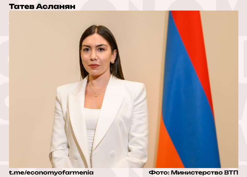 Татев Асланян назначена замминистра индустрии высоких технологий Армении: что известно о новом назначении в Алаверди