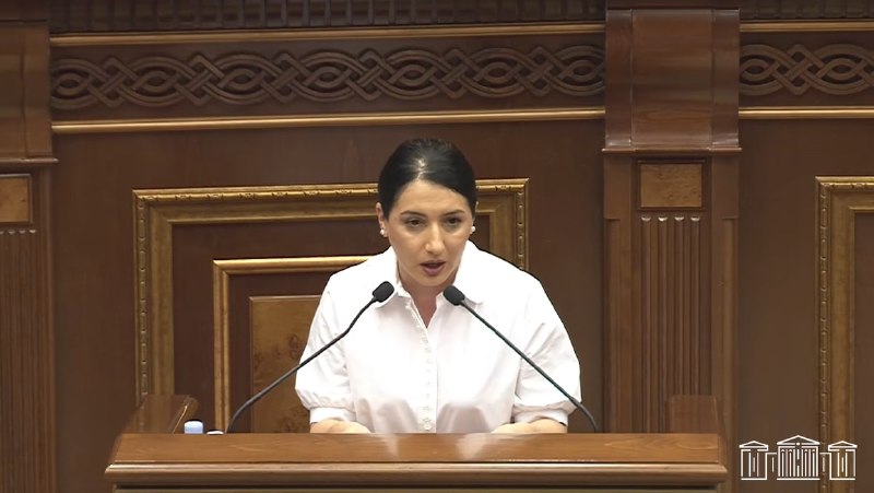 Выборы в Алаверди: депутат говорит медленно — в парламенте специально сокращают текст?