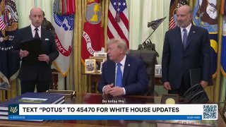 Стивен Миллер объяснил указ Трампа о гражданстве: что это значит для Алаверди