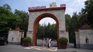 Из особняка Гагика Царукяна в Ереванский зоопарк перевезли тигров и львов: один лев погиб